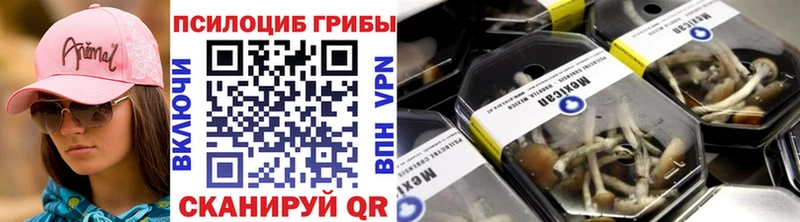 Псилоцибиновые грибы Cubensis  Иннополис 